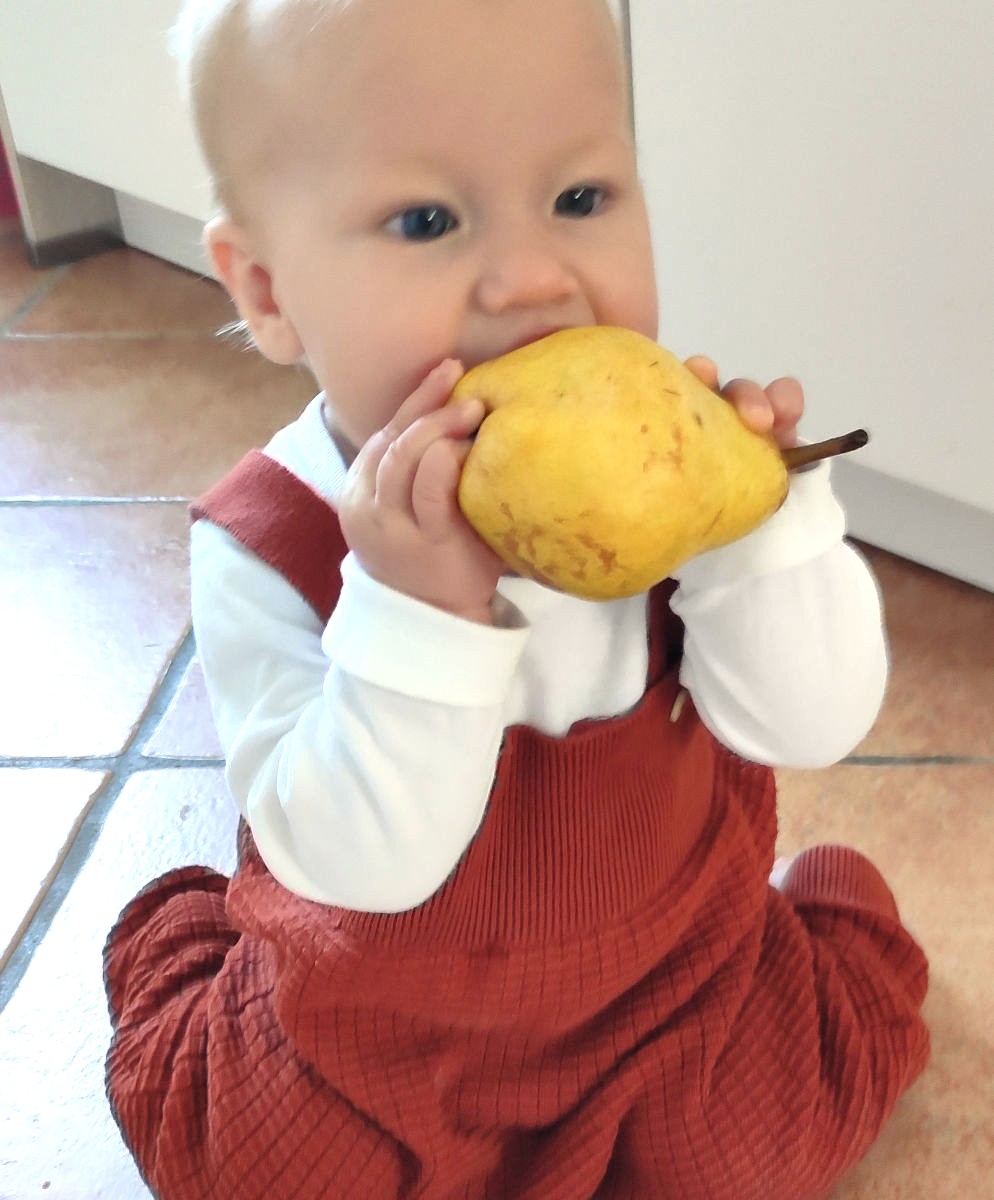 Obst als Beikost